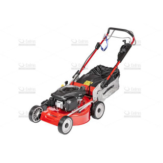 KOSI.SPAL WEIBANG 49CM EL.ROZR LONCIN1P65FE